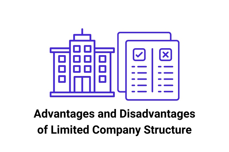 advantages and disadvantages of limited company