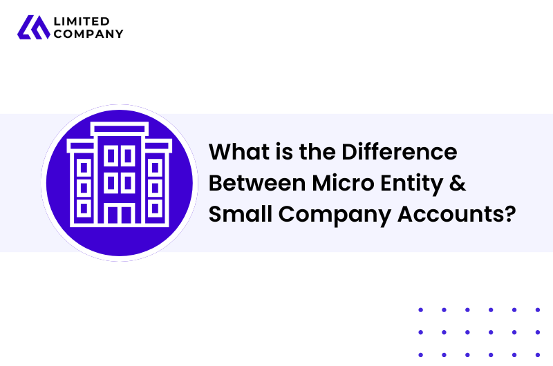 What is the Difference Between Micro Entity & Small Company Accounts?